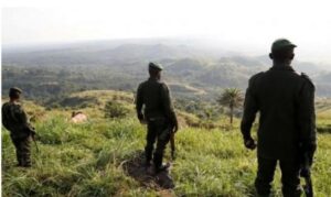 Ijoro ryahise abarwanyi barwanira ku ruhande rwa Leta bagabye ibitero ku mutwe wa M23 gusa ibyo bahaboneye ni akaga