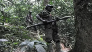 M23 yatangiye gukora amasuku mu ndiri ya FDLR