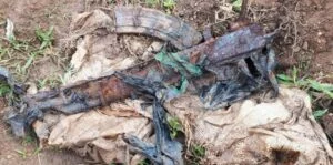 Yabonye ikintu kizingazinze mu mashashi, agira ngo ni Zahabu! I Nyanza umuturage yatoraguye imbunda mu murima