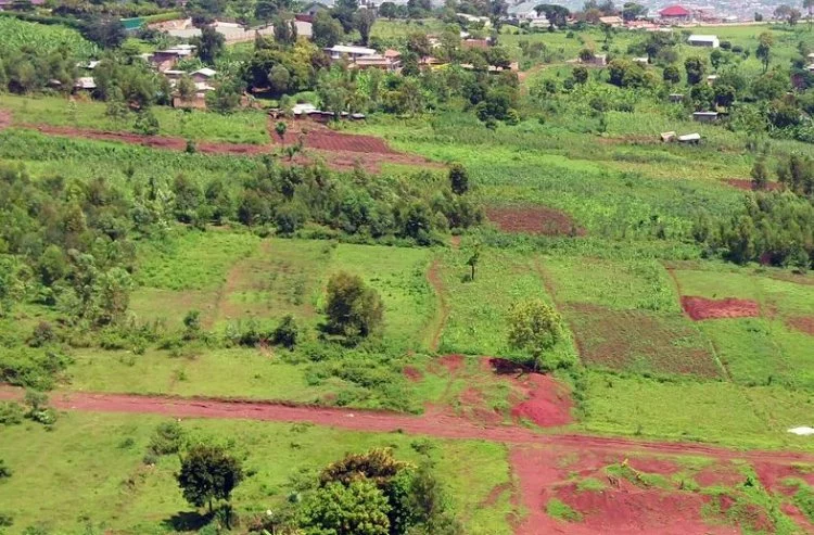 Leta igiye gutiza abaturage ubutaka bwo guhingaho