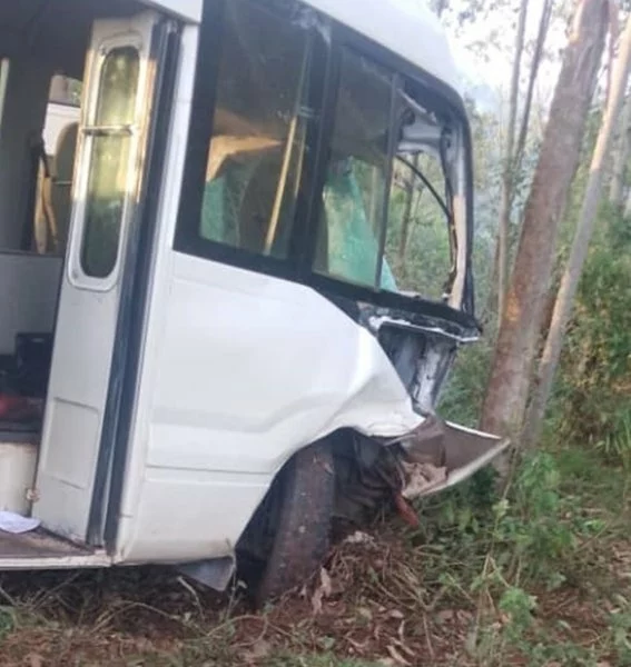 Rusizi! Imodoka ya Coaster yari itwaye abagenzi 29, yakoze impanuka ikomeye irenga umuhanda igonga ipoto birangira iguye mu ishyamba