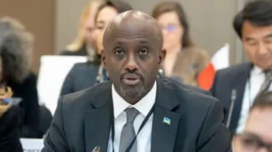 Ntaguca ku ruhande u Rwanda ruhaye ukuri Uburayi bwari bushatse kongera kwivanga mu miyoborere yarwo, kubera ibyo bari nakoze